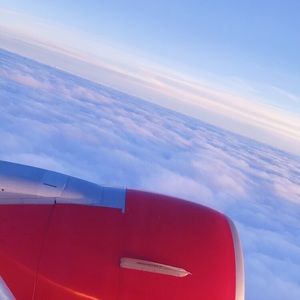 Meet your Posher, Daisy